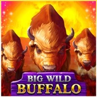 game logo by Belatra Games on roibetscasino.co.nl